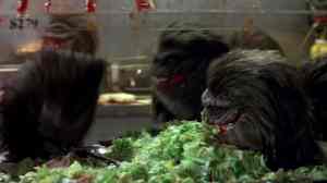 Critters_2_39-1024x574